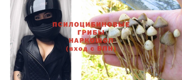 индика Липки