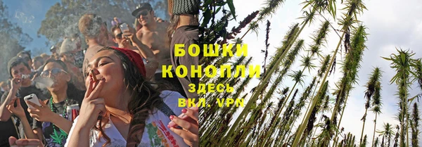 индика Липки