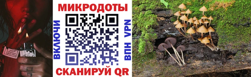 Псилоцибиновые грибы Psilocybe  Купить закладки  Кондопога 
